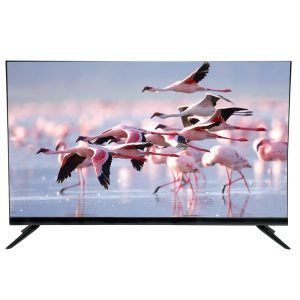 Elista LED NH24ECA59 24 inch HD TV _ A+ Panel Type
